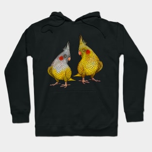 Parrot Cockatiel bird cockatiel lover Hoodie